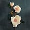 Coral Magnolia Stem by Ashland®